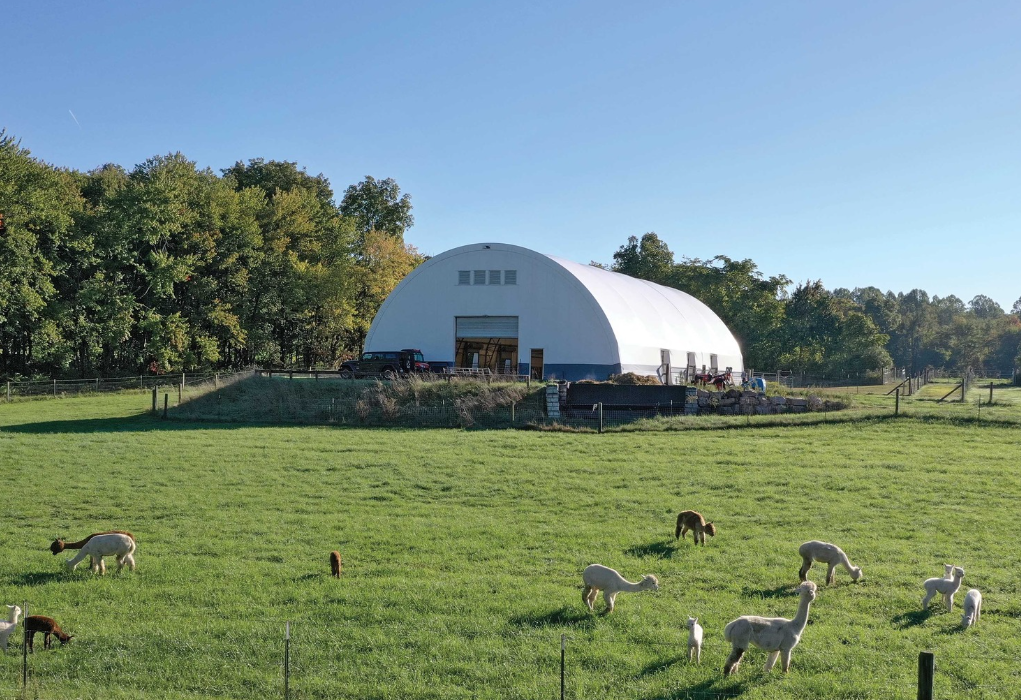 Industry Tent